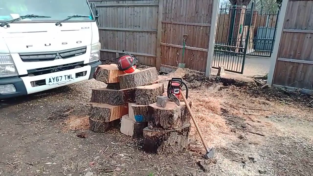 Chainsaw damage