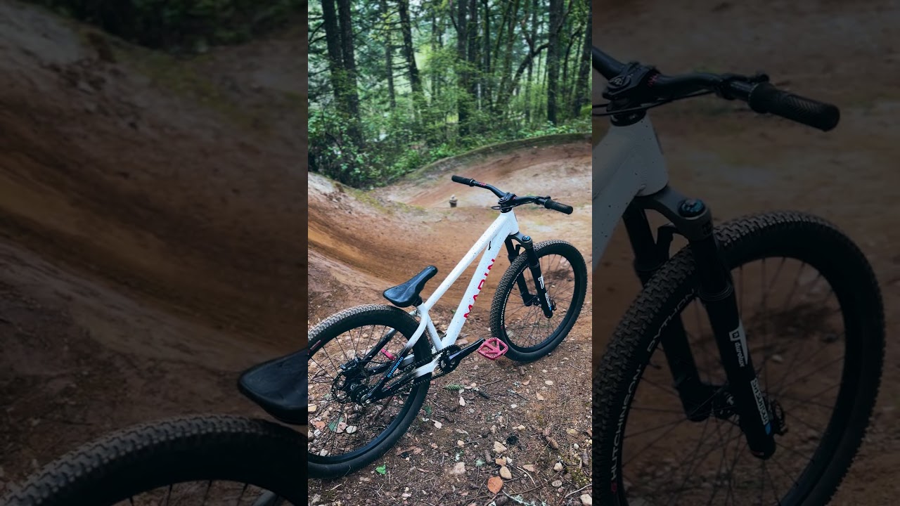 The ULTIMATE Dirt Jump Bike! Marin Alcatraz