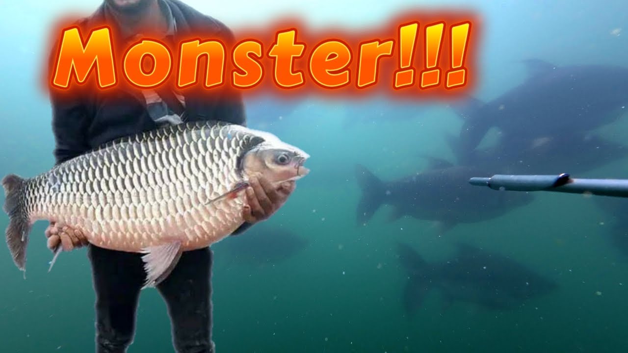 Misi Spearfishing Paling Extrim!!! Beranikan Diri Menantang Gerombolan Ikan Monster Danau Toba