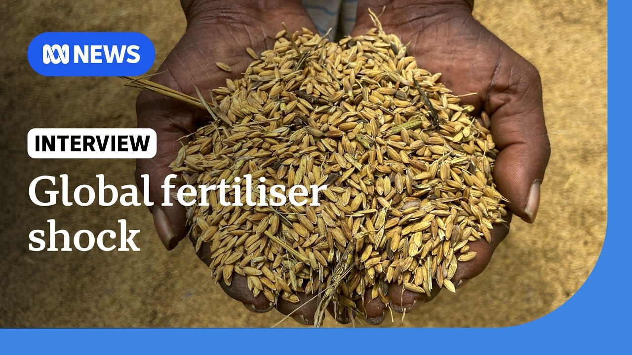 Middle East War: Fertiliser shortage to raise food prices in Australia, Asia | The World | ABC News