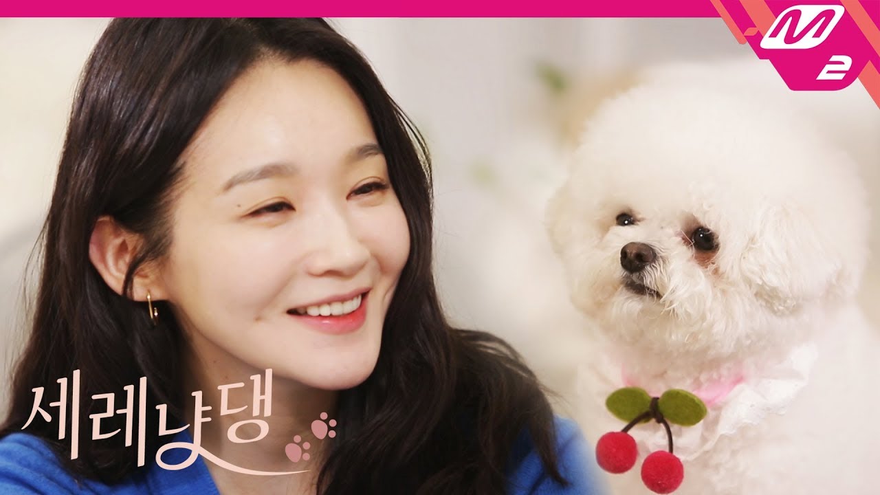 [세레냥댕] 강민경 X 휴지! 귀염뽀짝 꿀세레나데❤