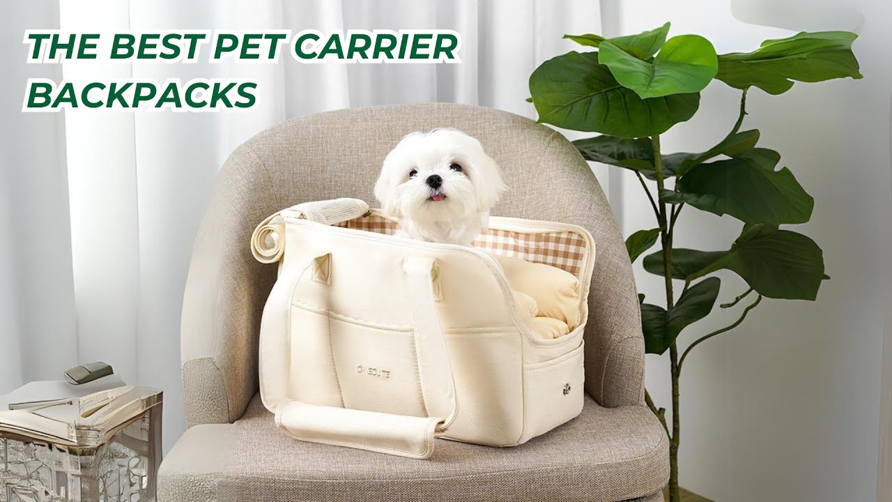 The Best Dog Carrier Backpacks | Lightweight Cat  & Dog Carrier | Waterproof Cat Backpacks