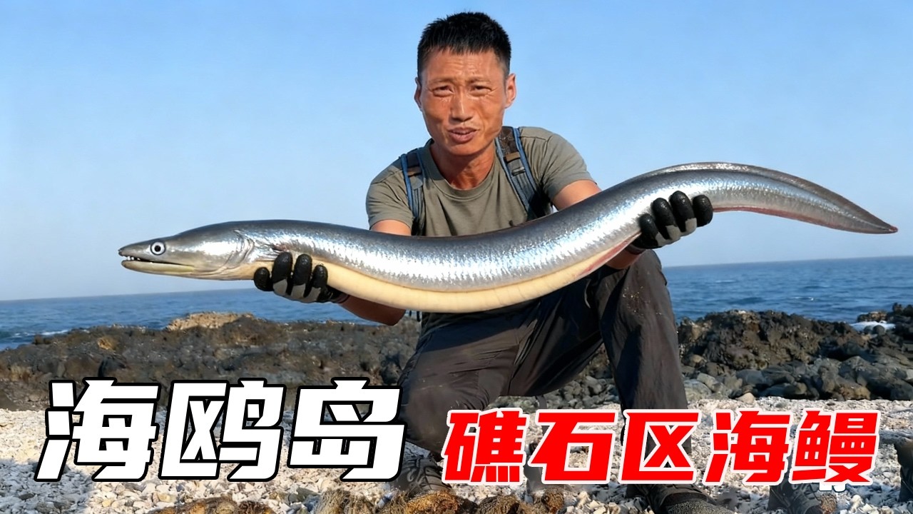海鸥岛生存挑战全集：热带沙漠气候环境恶劣，遇到涨潮在礁石区发现大海鳗，够4~5个人饱餐一顿【户外平头哥】