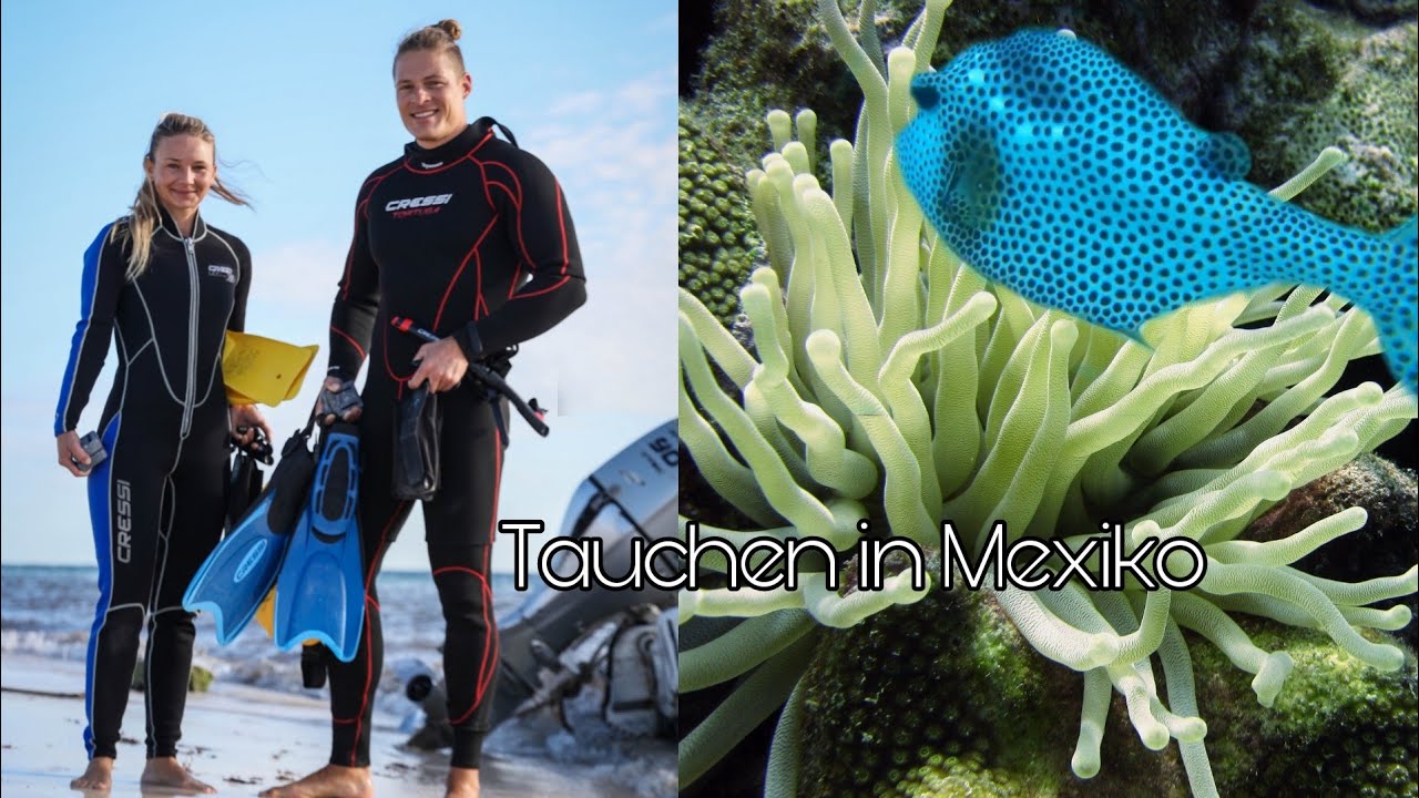 Wir haben den Tauchschein | Letzter Tauchgang in Mexiko 2022 | Cancun