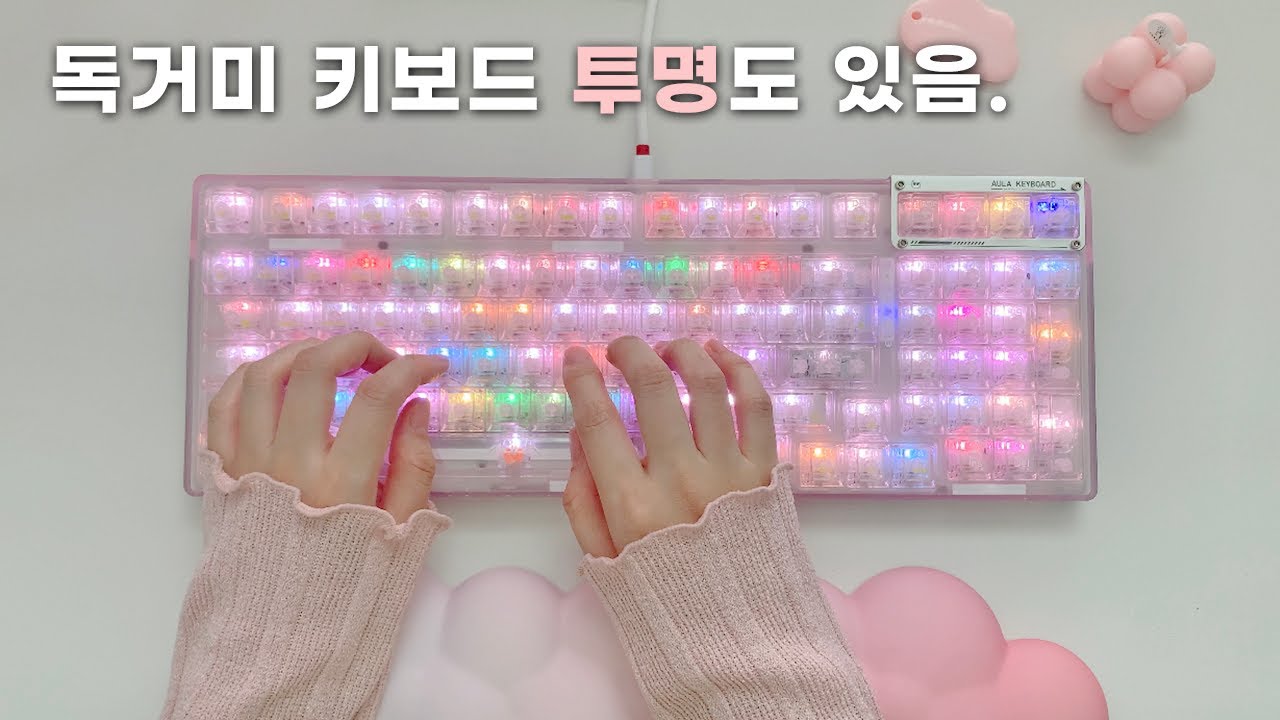 독거미 나도 있다!!! EPOMAKER x AULA F98