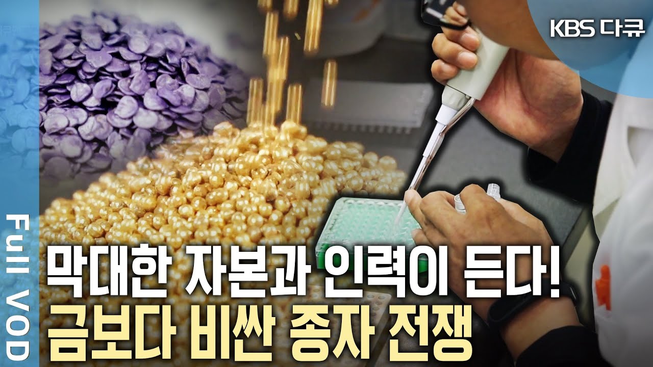 금보다 종자가 더 비싸다?! 소리 없는 전쟁터 세계 종자 시장! 황금 씨앗 전쟁의 주도권을 잡아라! (KBS 20180203 방송)