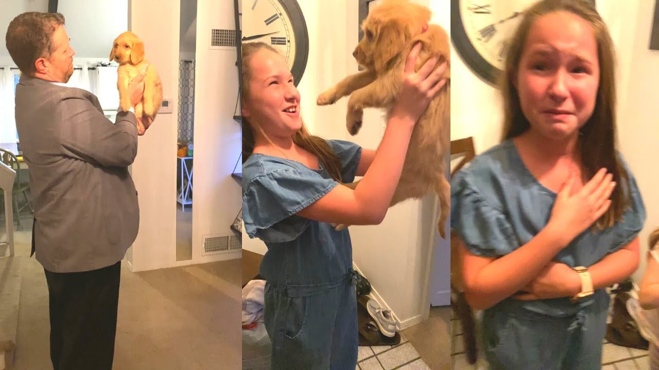 Cute Emotional Puppy Surprise for Daughters || WooGlobe
