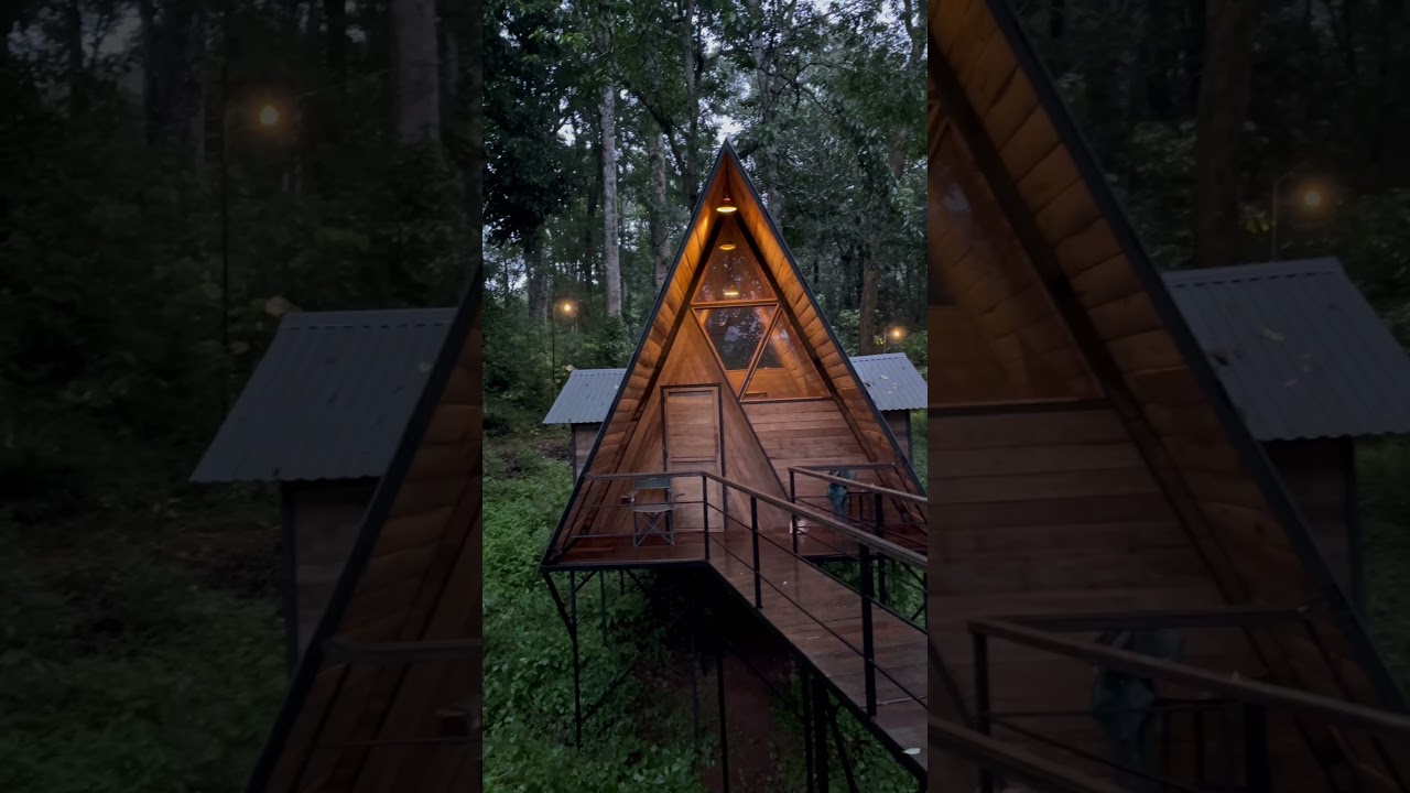 #wayanad #resort #forest #nature #wildlife