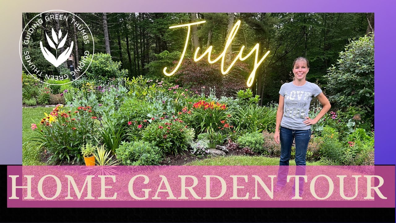 JULY HOME GARDEN TOUR // HAKONE GRASS // DAYLILY BLOOM SNEAK PEAK