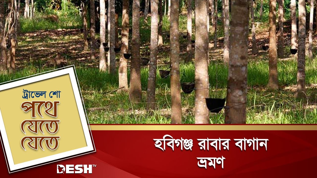 হবিগঞ্জ রাবার বাগান ভ্রমণ | Natural Rubber Farm | Travel Show | Desh TV Lifestyle