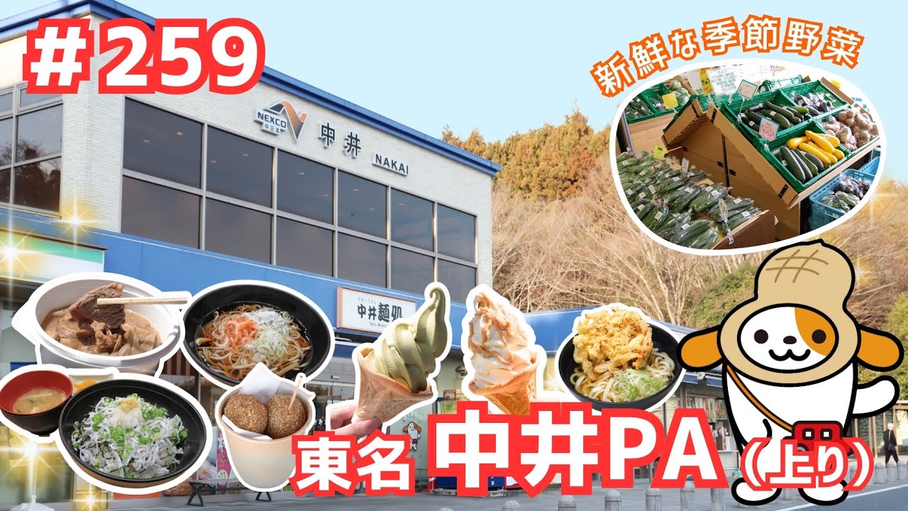 #259      みちまるくんのSA・PA紹介(東名 中井PA上り)