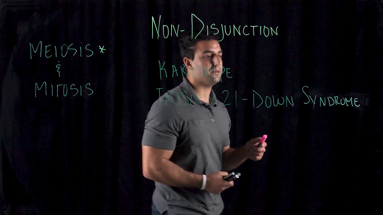 Non Disjunction