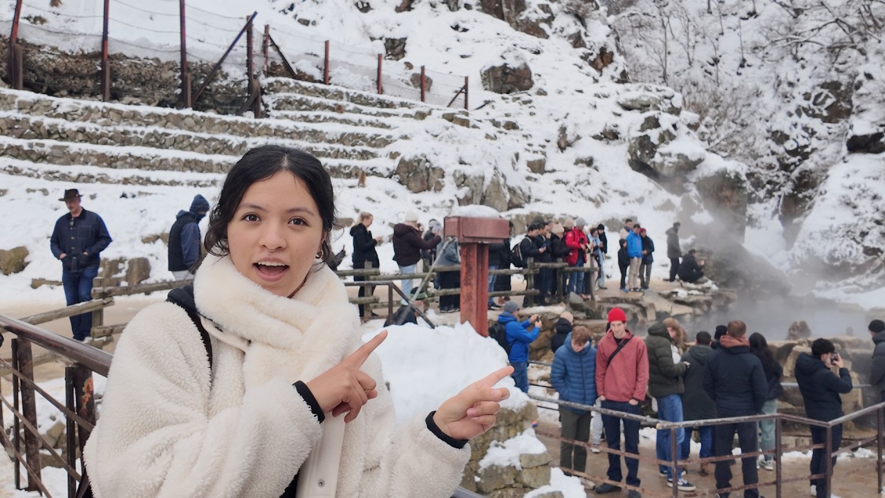 Visite el famoso Snow Monkey Park en NAGANO