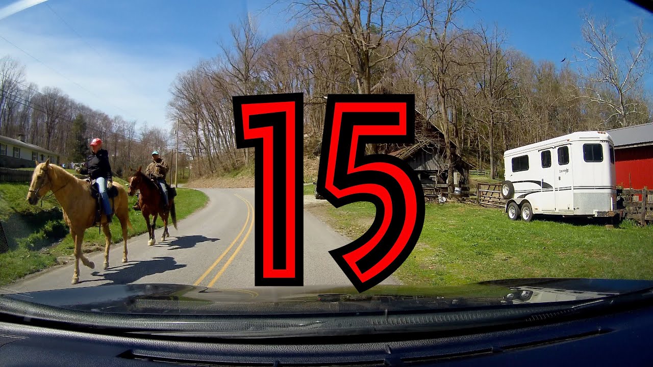 Bad Drivers of Maryland 15