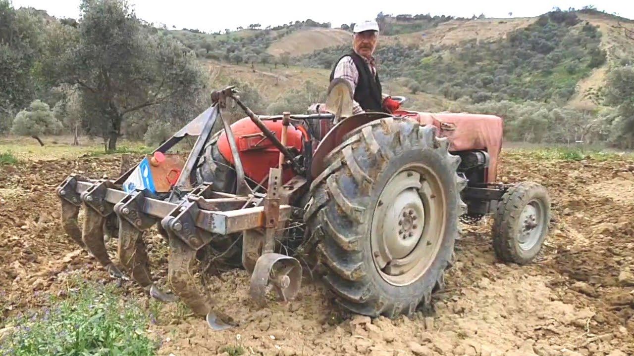 7 'Lİ ÇİZEL PATLATMA ÇEKEBİLİR Mİ ? ( Massey Ferguson 240 S )