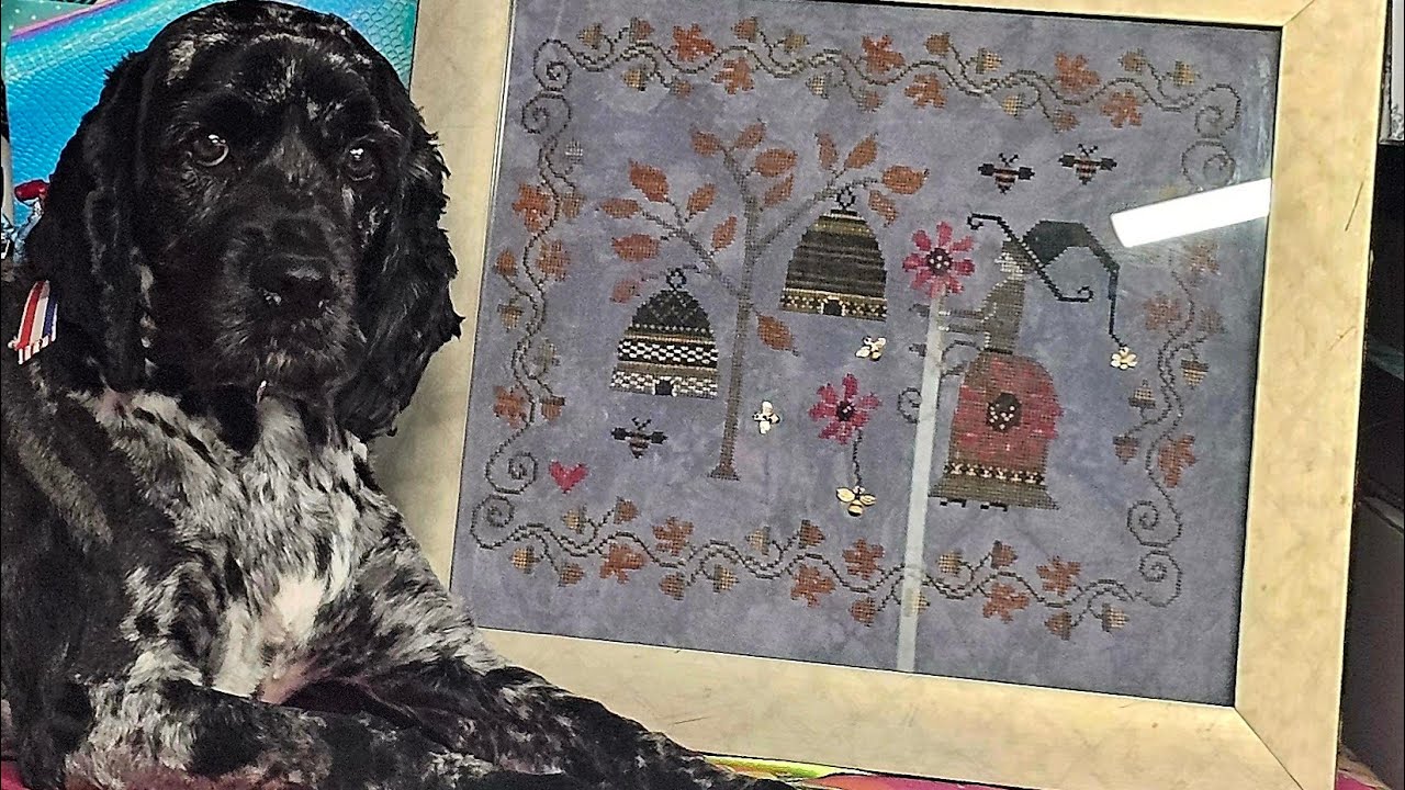 Flosstube #3 | 1 Fully Finished | 1 Finish + update on Wips |   New Segment  