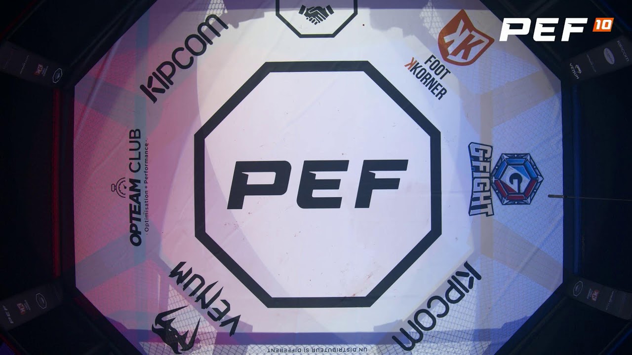 PEF X
