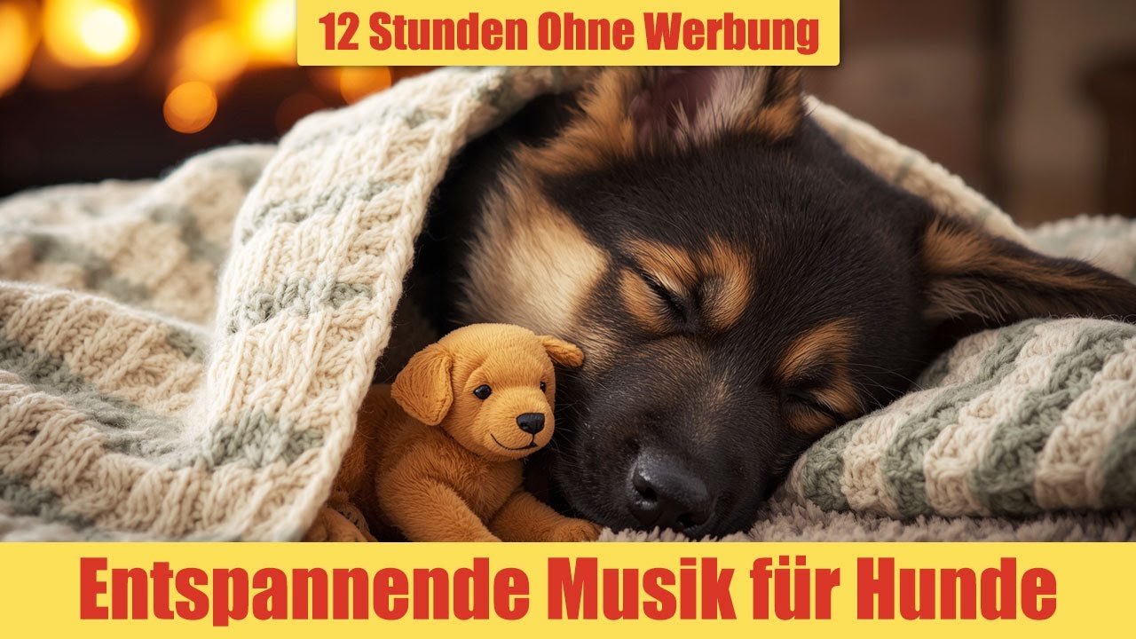 Beruhigende Musik für Hunde - 12 Stunden Ohne Werbung | Anti-Stress & Beruhigung_vol.5