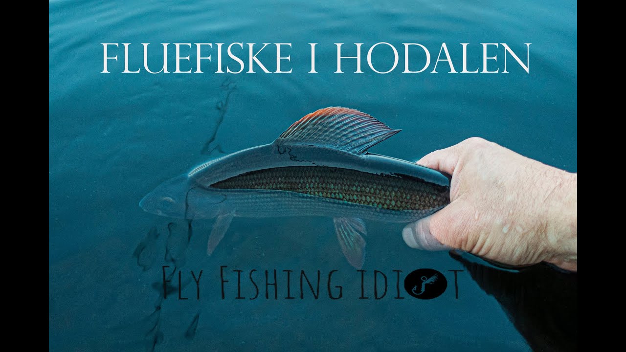 Fluefiske i Hodalen