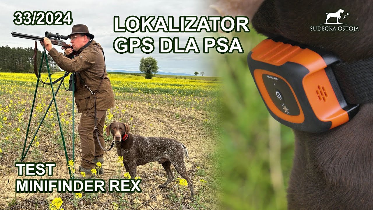 Lokalizator GPS dla psa - Test MiniFinder Rex - SUDECKA OSTOJA 33/2024