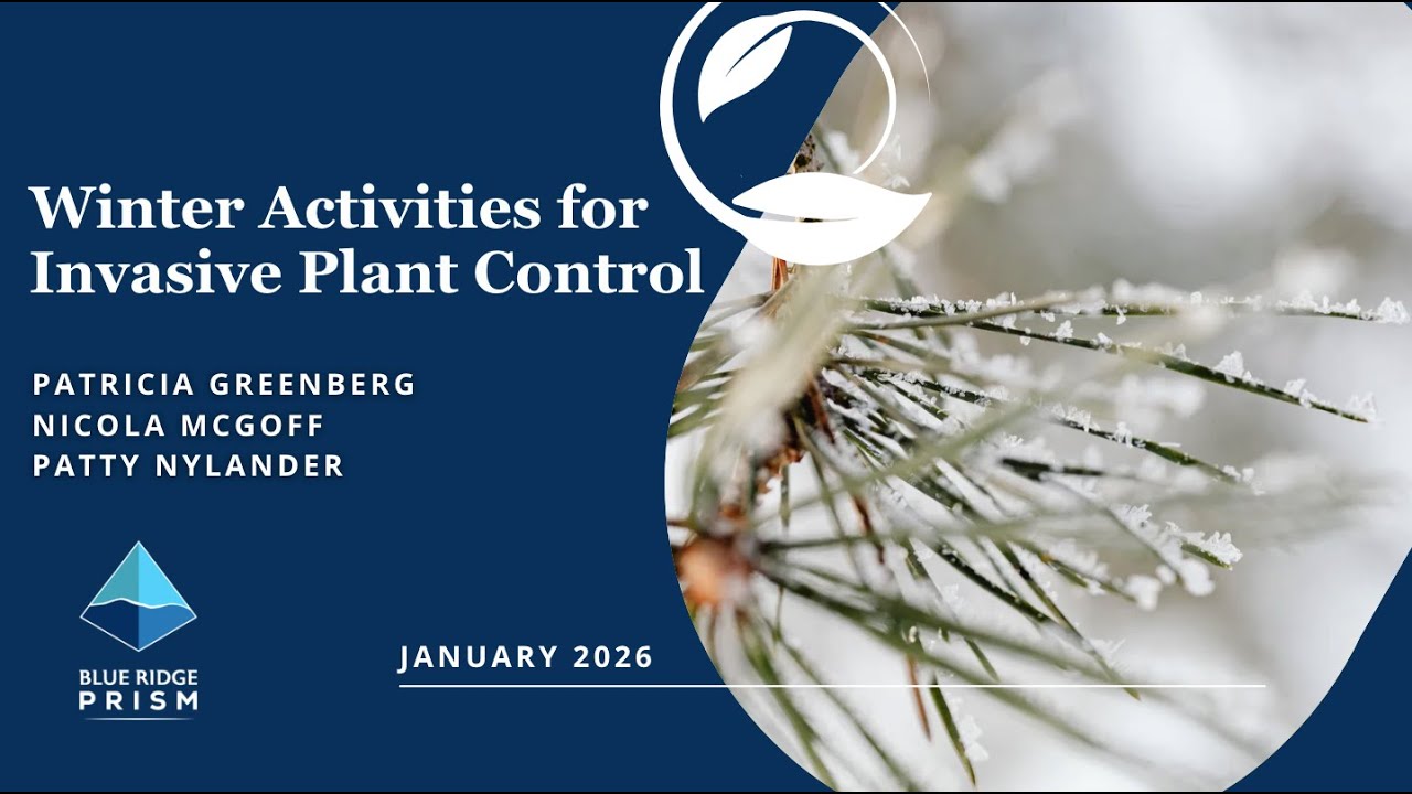 Blue Ridge PRISM Winter Quarterly Meeting: Winter Activities for Invasive Plant Control (2026)