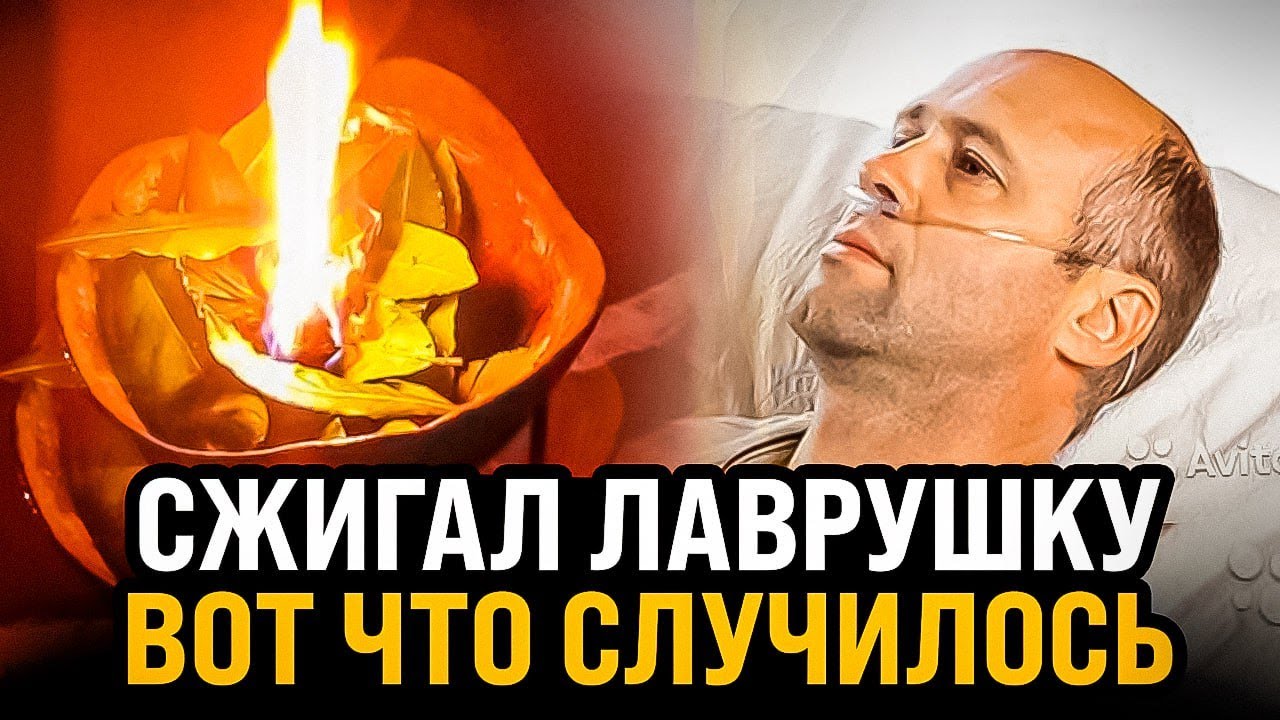 ЖГУТ и дышат! Просто посмотри что происходит от дыма лаврового листа. Лавровый лист