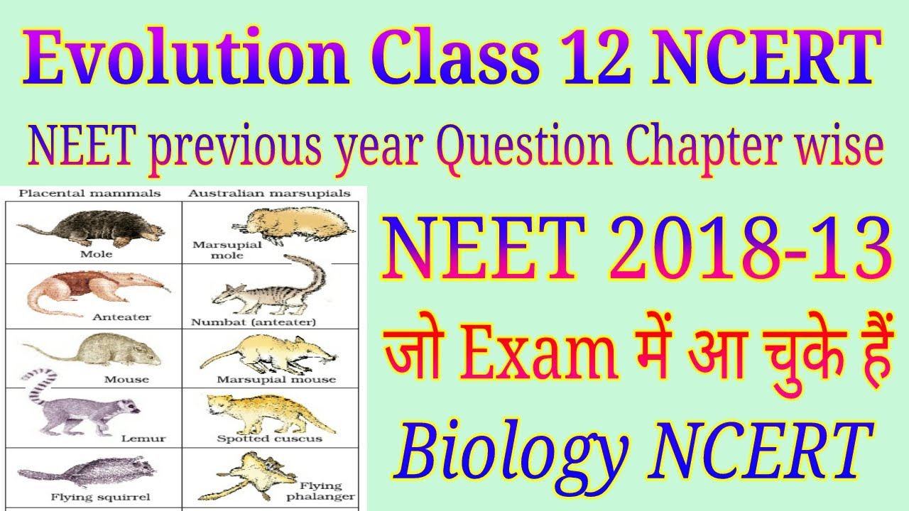 Evolution Class 12 NEET previous year question
