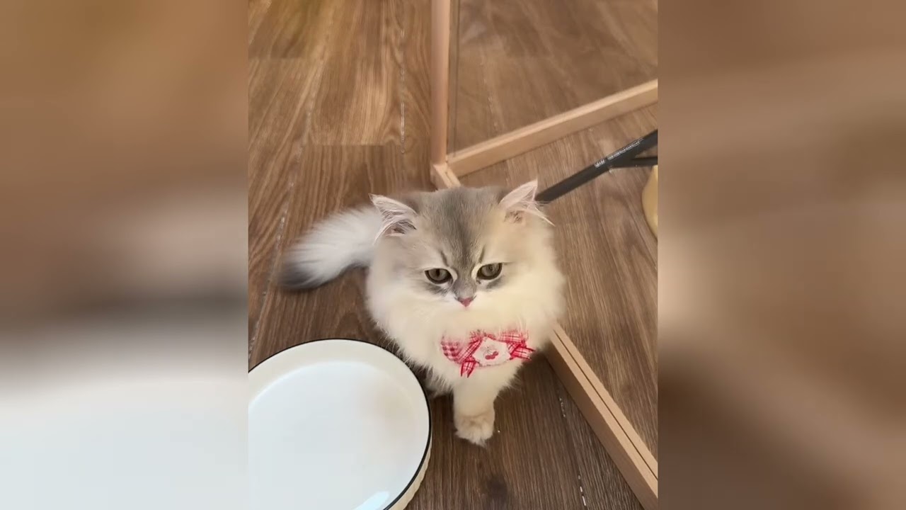 Sweet baby friends will make your world a better place