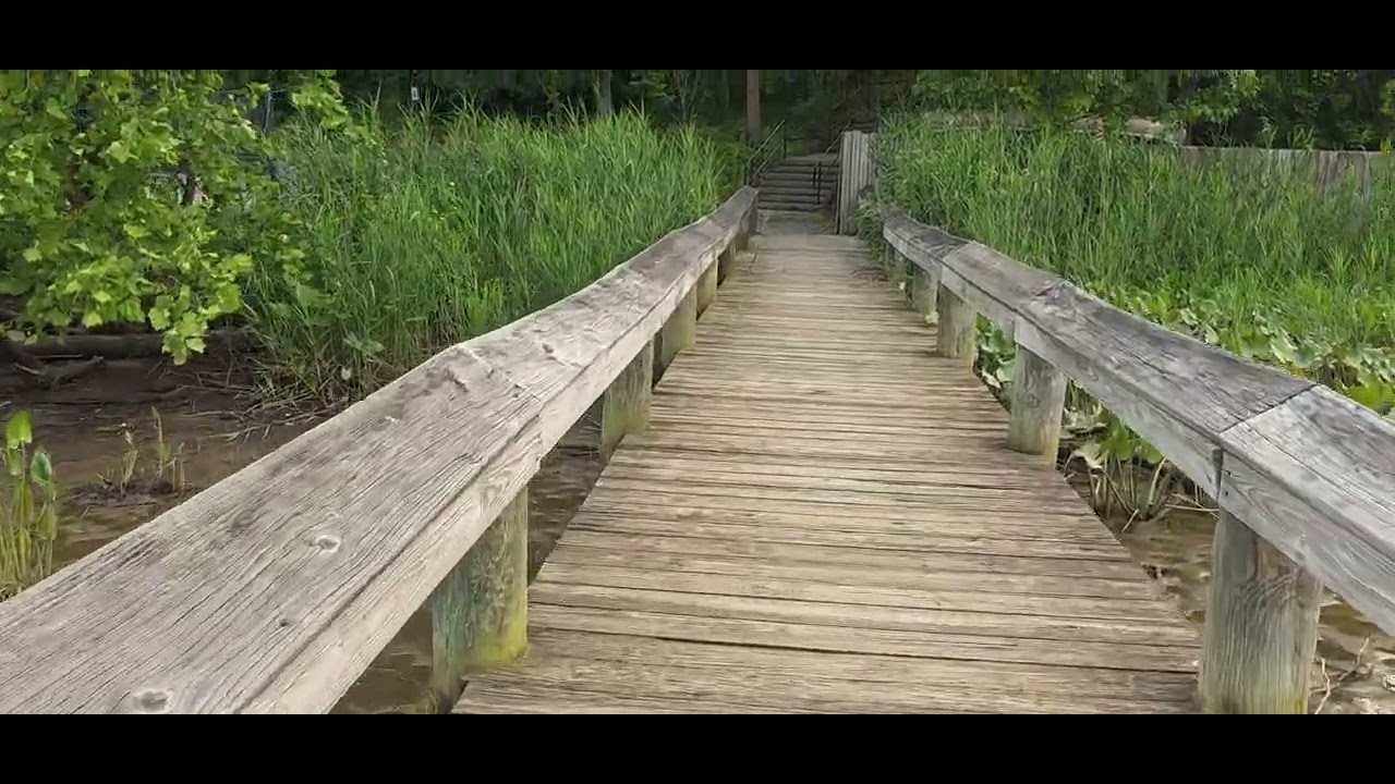 PATUXENT RIVER PARK IN MARYLAND(మేరీల్యాండ్‌లోని పటుక్సెంట్ రివర్ పార్క్)