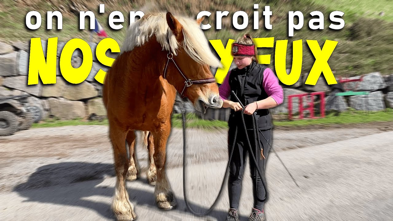 IL SE PASSE UN MIRACLE DANS CETTE VIDÉO.
