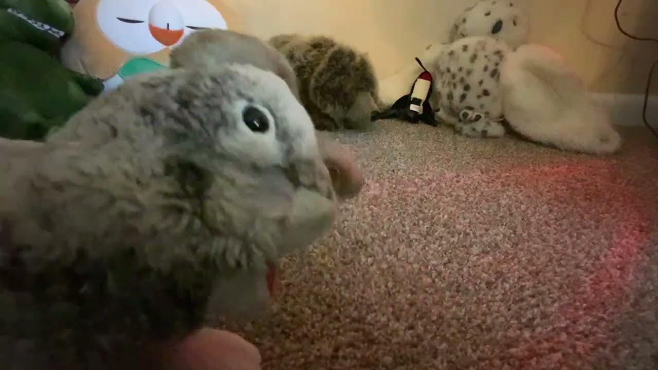 Dance Party With 🪩Moobunny🪩