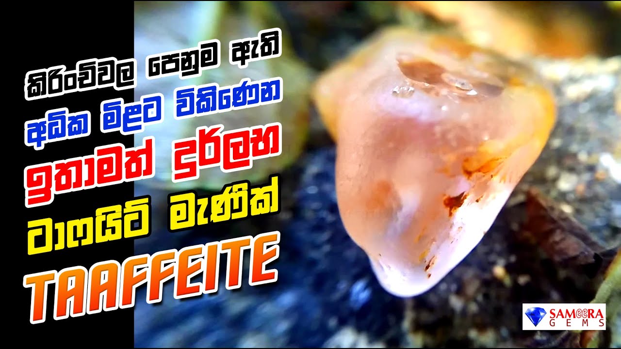 ටාෆයිට් | TAAFFEITE | SAMEERA GEMS