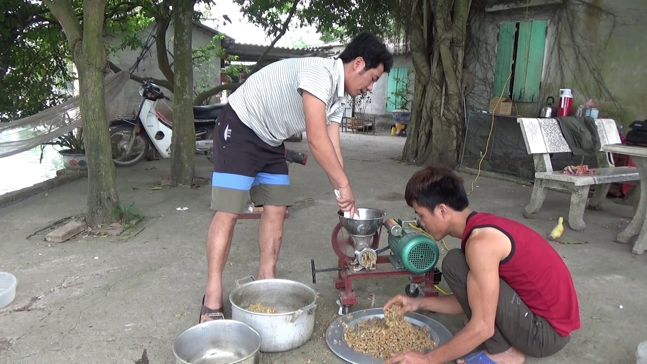 Cách Làm Cám Cho Chòe Than Căng Lửa Tự Nhiên. Đang Làm,Gặp Sự Cố Mất Điện Hơi Nhọ Ae ạ.