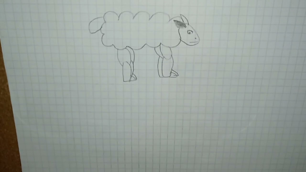 The Domestication of  Sheep