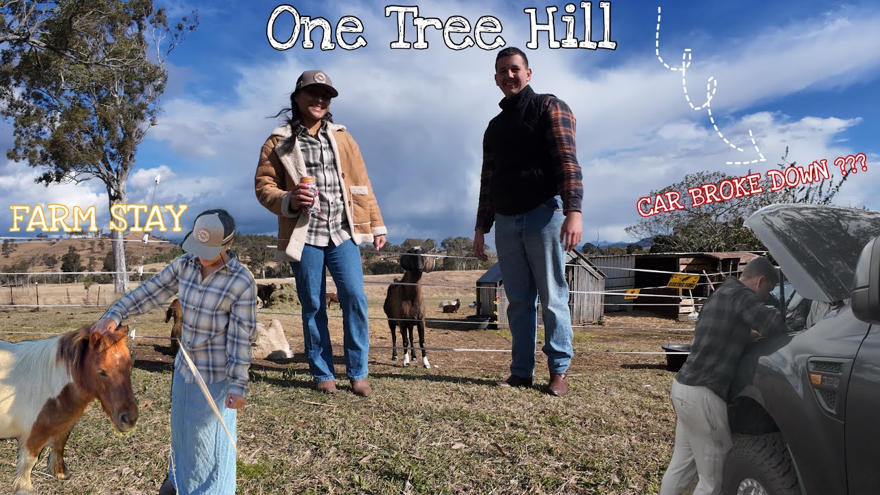 One Tree Hill Camping Adventure Ep3 | K&K OFFGRID