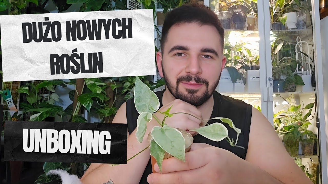 CENTRUM OGRODNICZE SILESIA / UNBOXING PACZEK Z ROŚLINAMI / Dużo nowych roślin 🌿