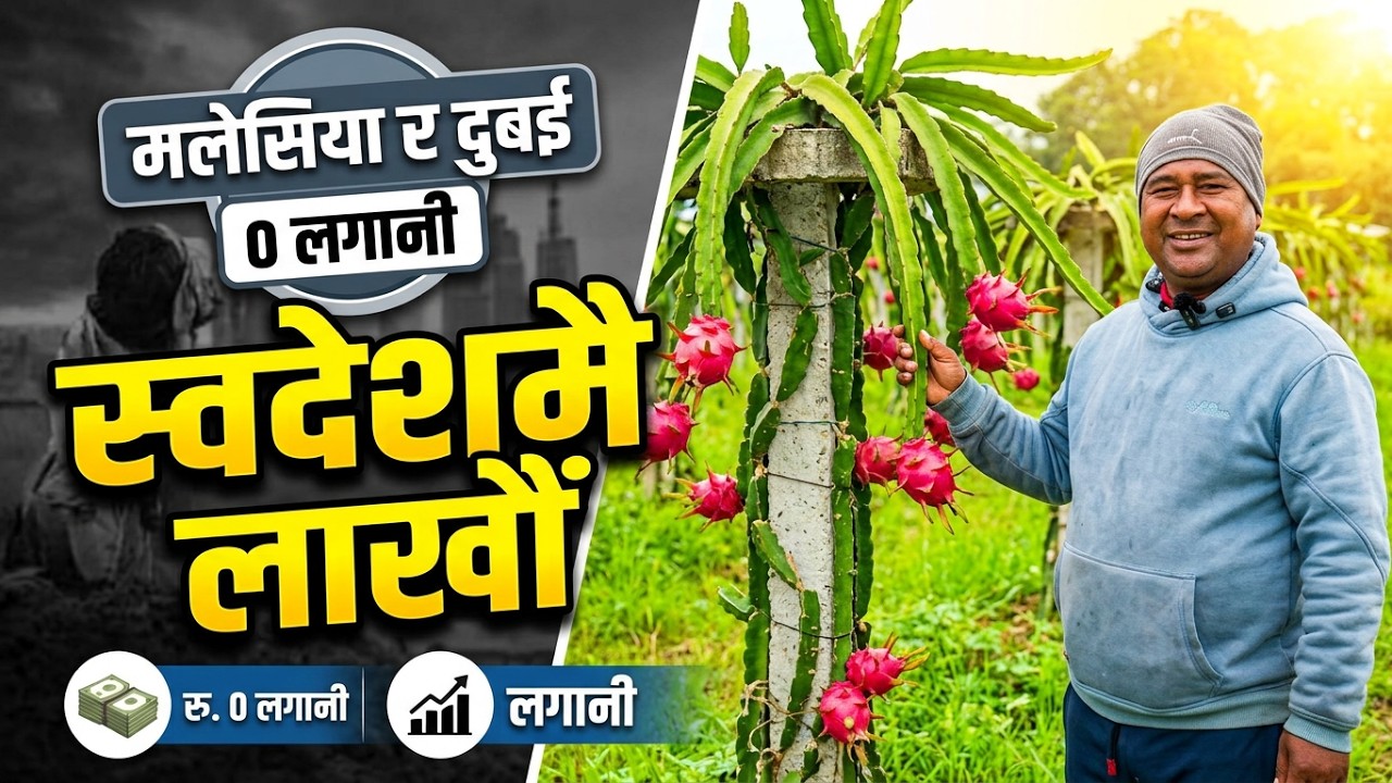 मलेसिया र दुबई भड्के अन्तमा कृषिमै प्रगती भयो 