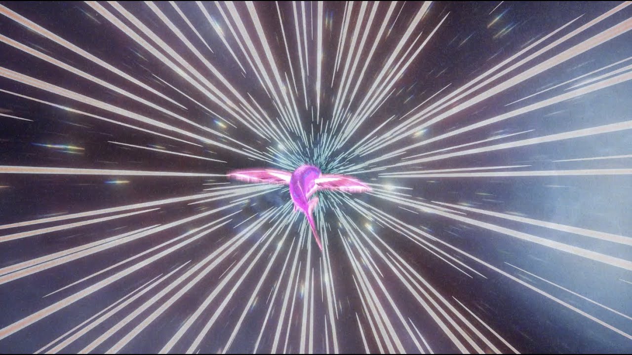 Palace - Gravity (Official Music Video)