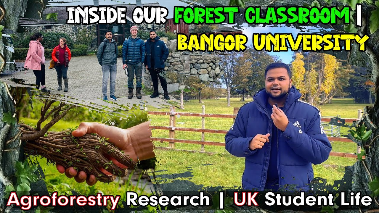 How We Study Agroforestry in the UK 🌿 | Fieldwork, Research & Real Student Life | Bangor University