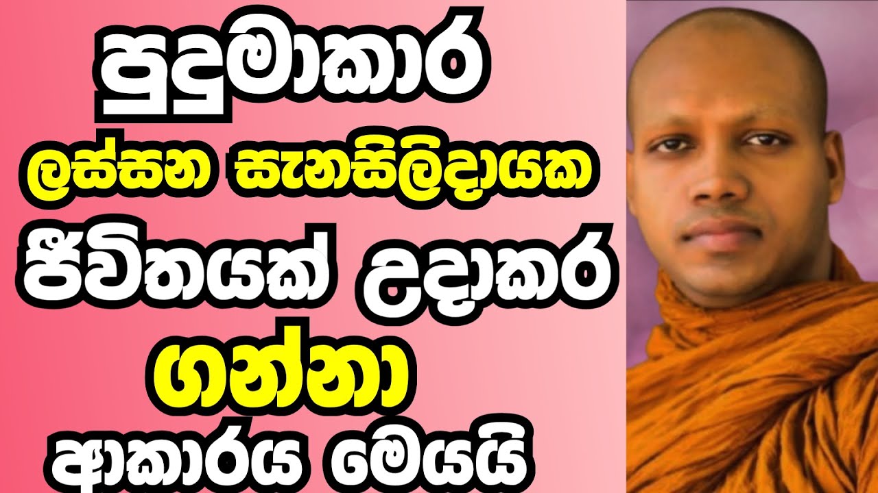 පුදුමාකාර ලස්සන සැනසිලිදායක ජීවිතයක් උදාකර ගන්නා ආකාරය |  Ven hasalaka seelawimala thero bana 2025
