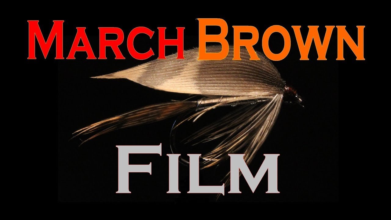 Вязание мокрых мушек March Brown