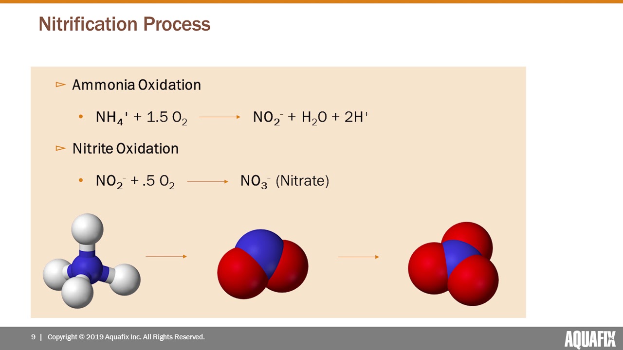 Unlock Nitrification & Remove Ammonia