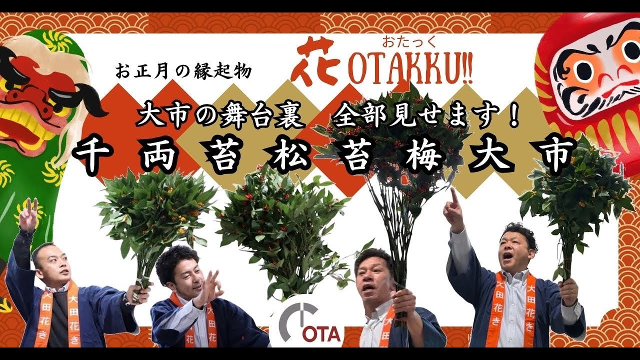 年末の風物詩⭐︎千両・苔松・苔梅大市！舞台裏まで全部見せます｜花OTAKKU!!