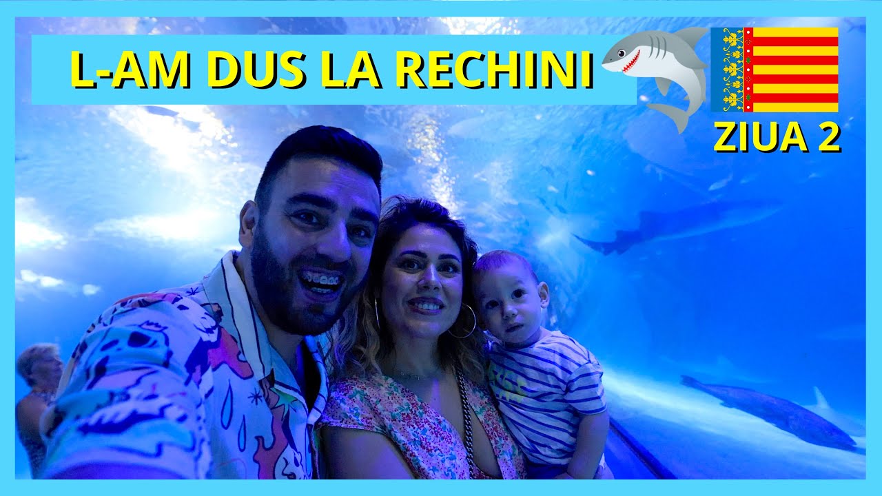 CUM ARATĂ OCEANOGRAFUL (ACVARIUL) DIN VALENCIA (ZIUA 2)