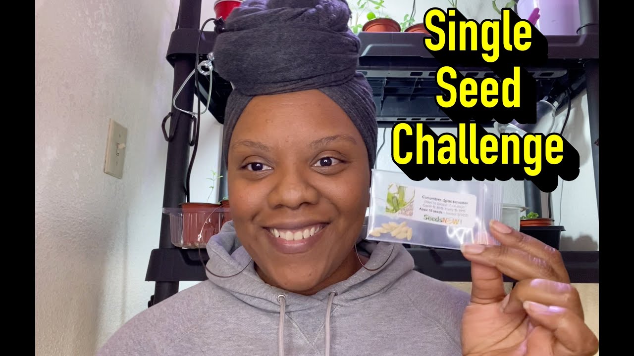 Single Seed Challenge 2021