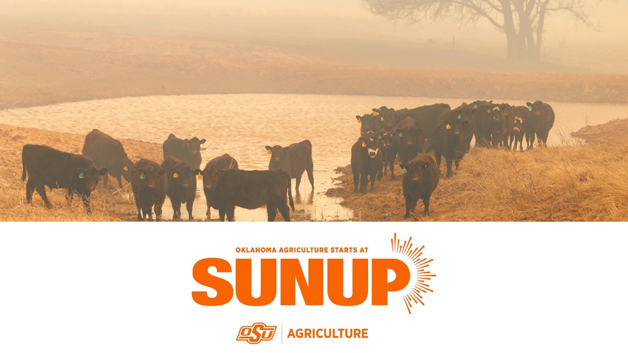 SUNUP Full Show (Feb. 21, 2026)