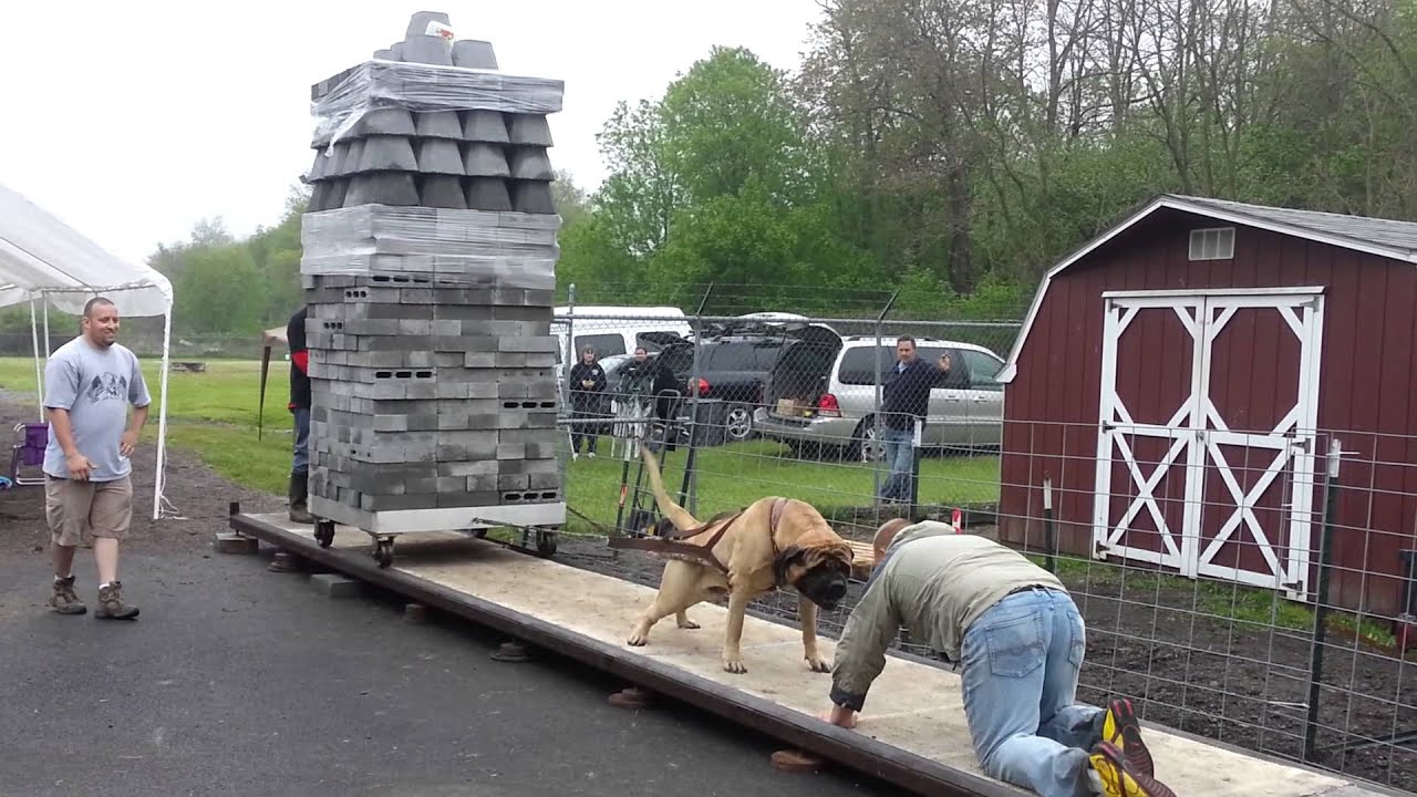 NOBLE pulls 14,500 on rails: NWDA