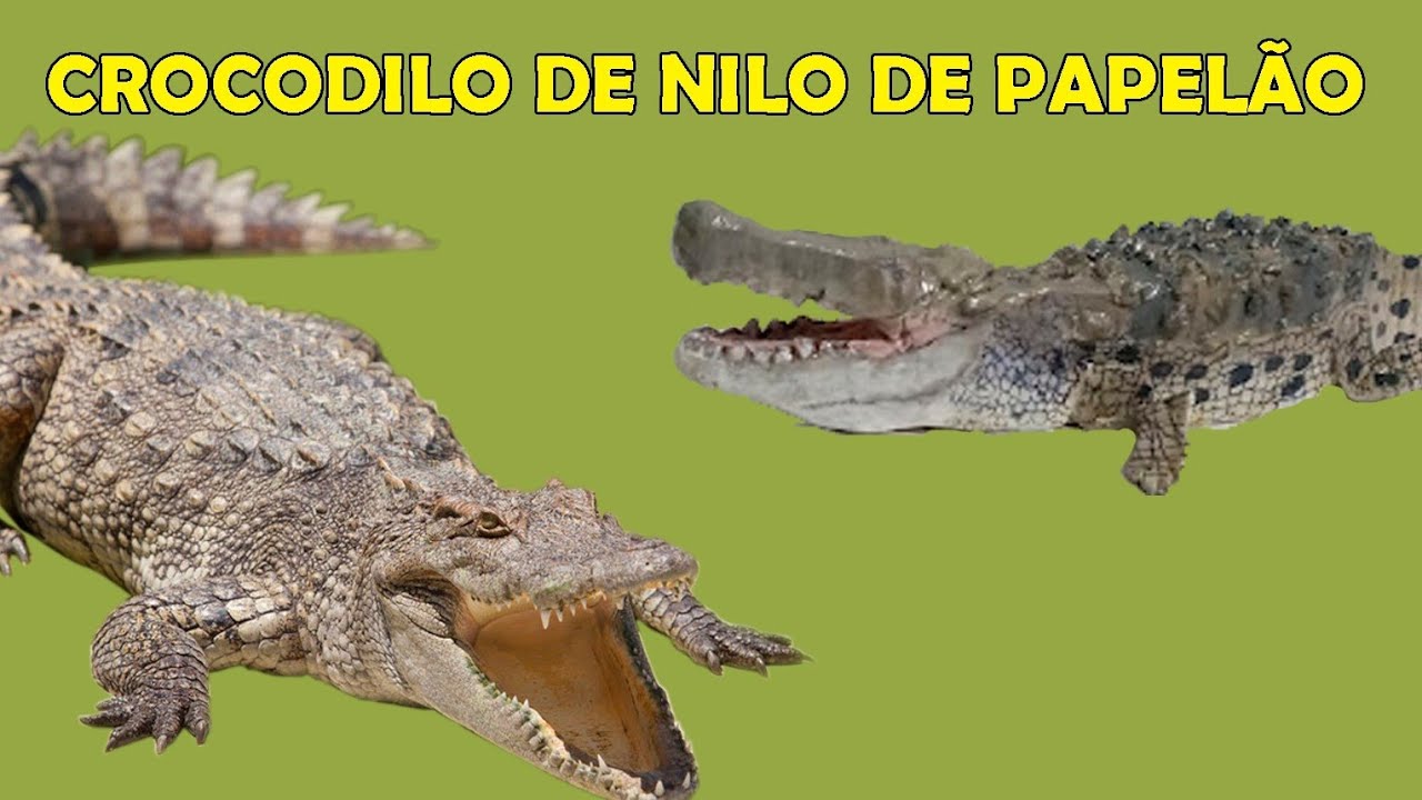 Gabriel Feitosa Arte Reciclável está transmitindo ao vivo!