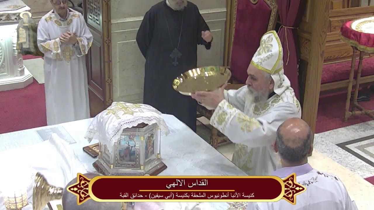القداس الإلهي بكنيسة الأنبا أنطونيوس الملحقة بكنيسة الشهيد أبي سيفين حدائق القبة الأحد 11-1-2026