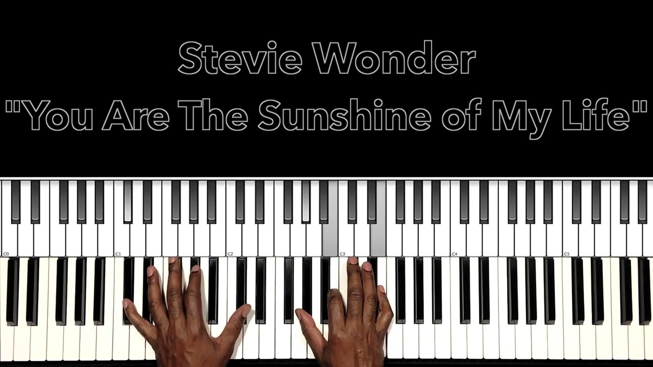 Stevie Wonder 